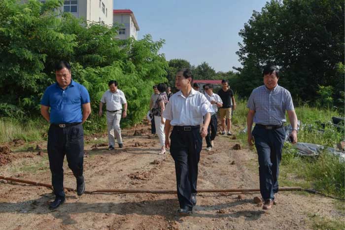 信陽市人民政府副市長張明春蒞臨我院調研中醫(yī)藥事業(yè)發(fā)展情況