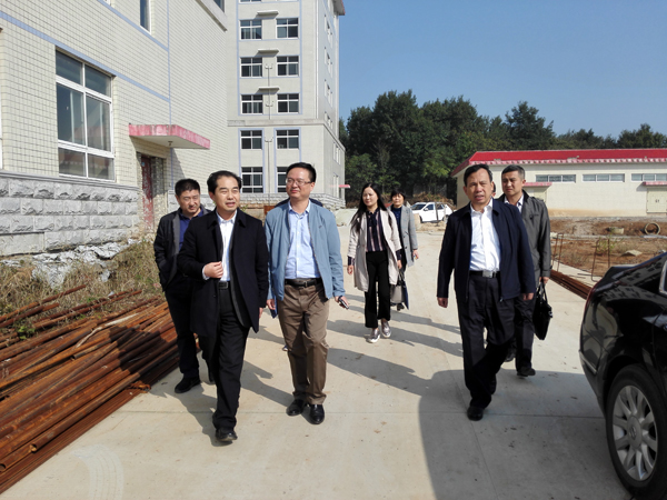 河南省衛(wèi)計(jì)委副主任、省中醫(yī)局局長張重剛一行蒞臨市中醫(yī)院視察工作